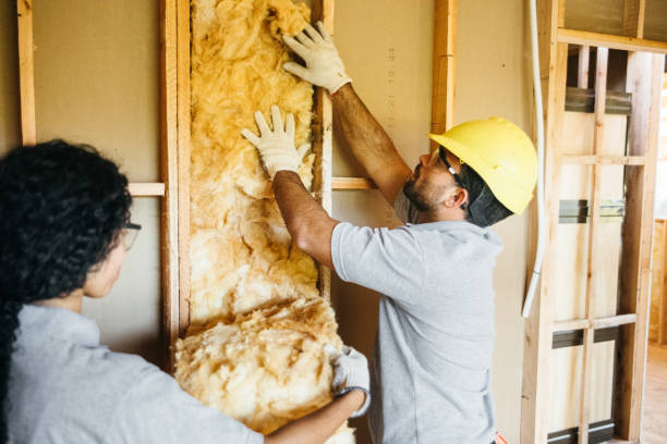 Best Insulation for Metal Buildings  in Melissa, TX